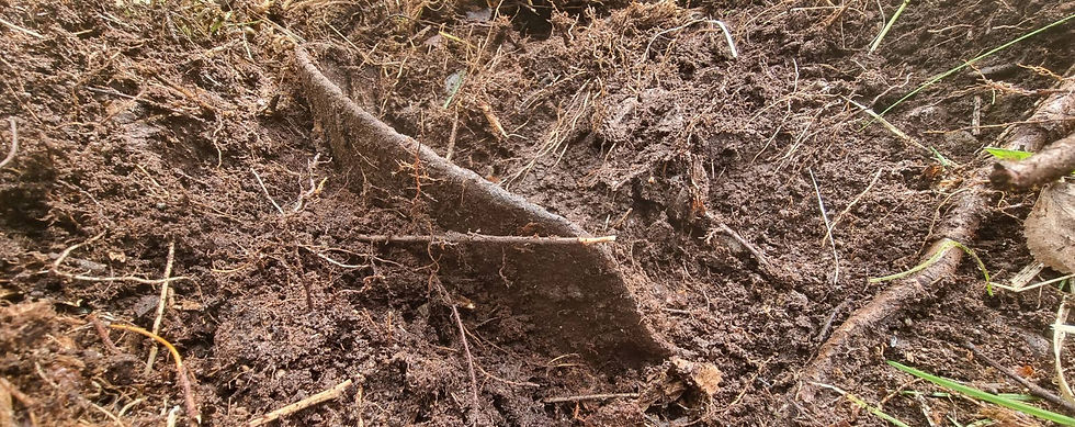 rim of a german helmet sticking out of the ground