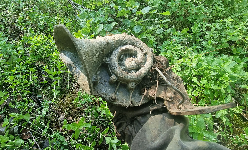 horn from a vehicle