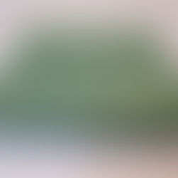 Green plastic cigarette case.