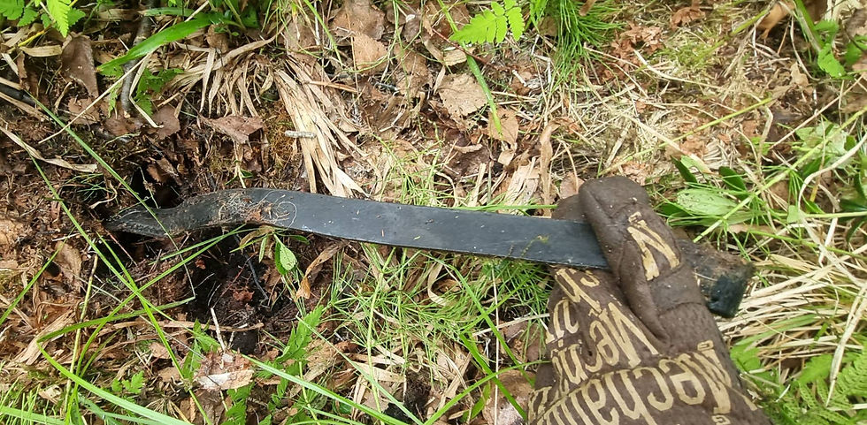 leather sticking out of the ground