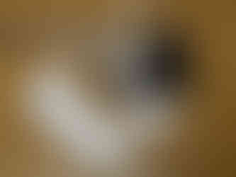 Fishcrates made from plastic sheet.