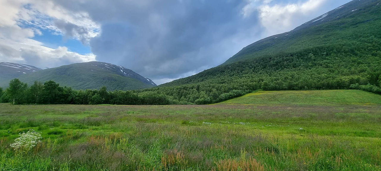 Beautiful summer days are here, even with the rain.