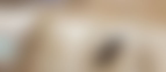 German Foldable Field Map Table