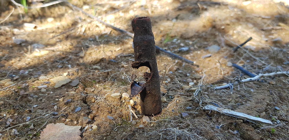 bullet hole in a rifle casing
