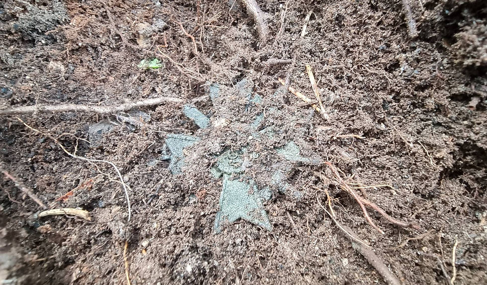 kvk medal being found