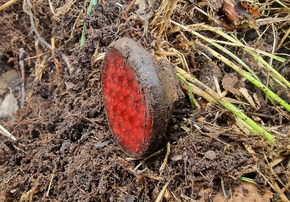 red reflector