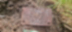German vehicle license plate