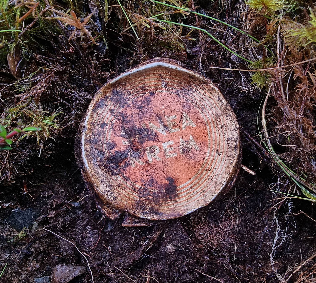 tin lid