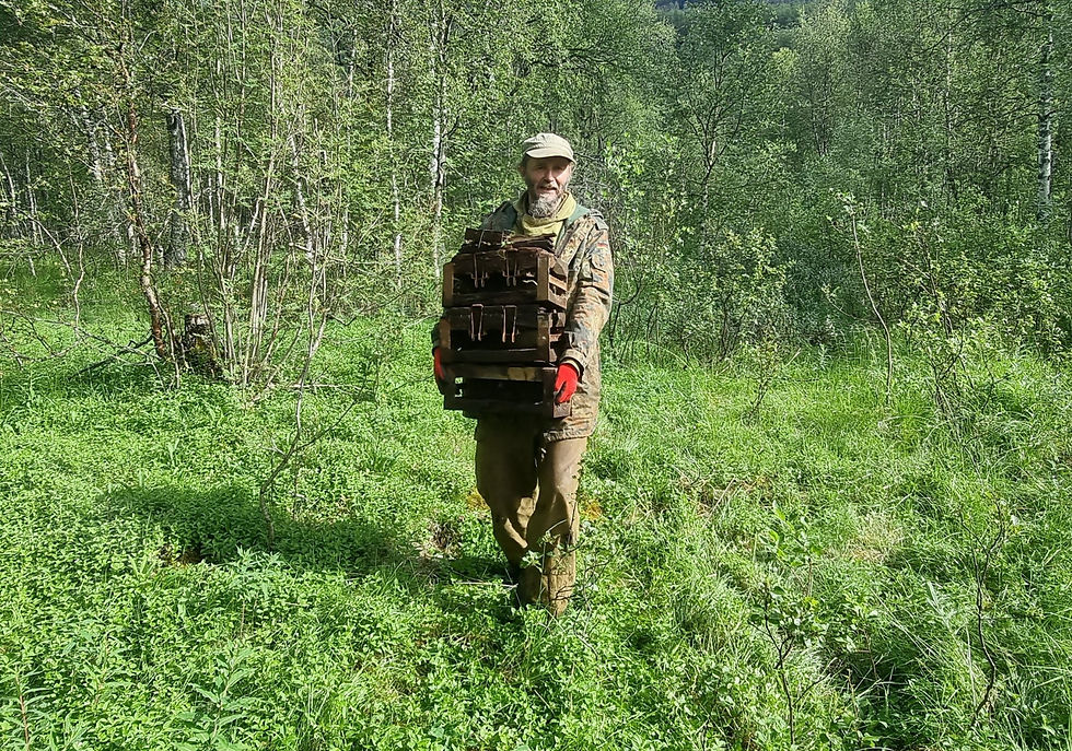 person carrying boxes out of forest