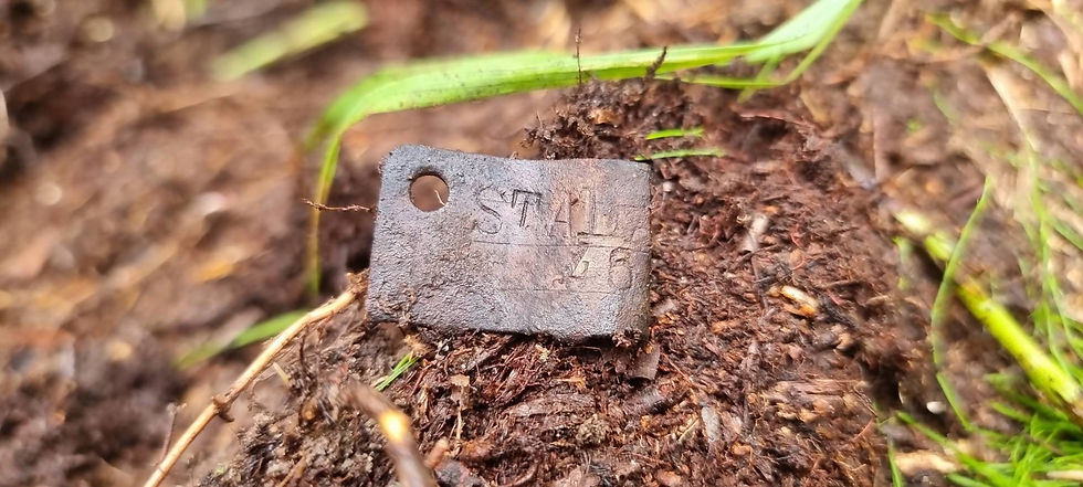 small piece of stalag tag