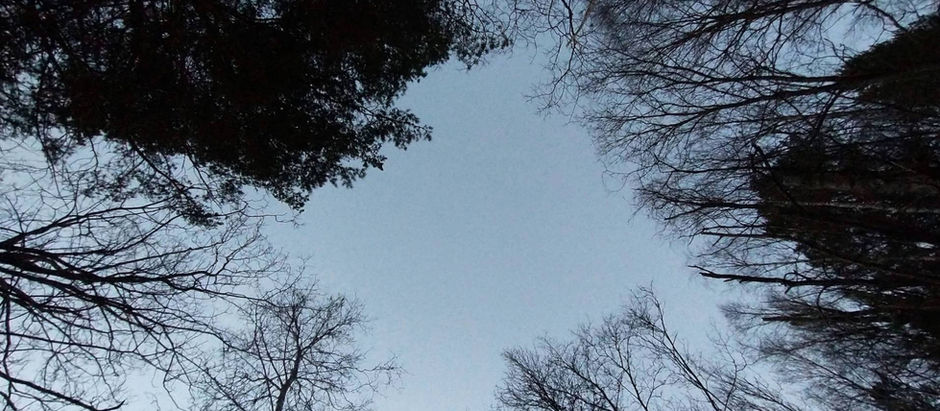 Like a Relic Advent Calendar