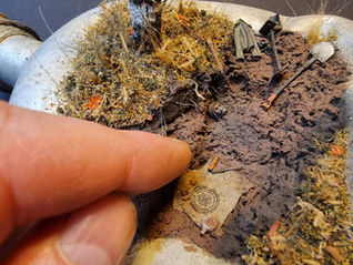 relic-art. a diorama made in a battle damaged german canteen