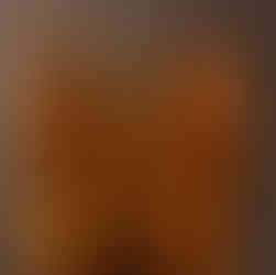 GS 40 and 41 wooden pegs