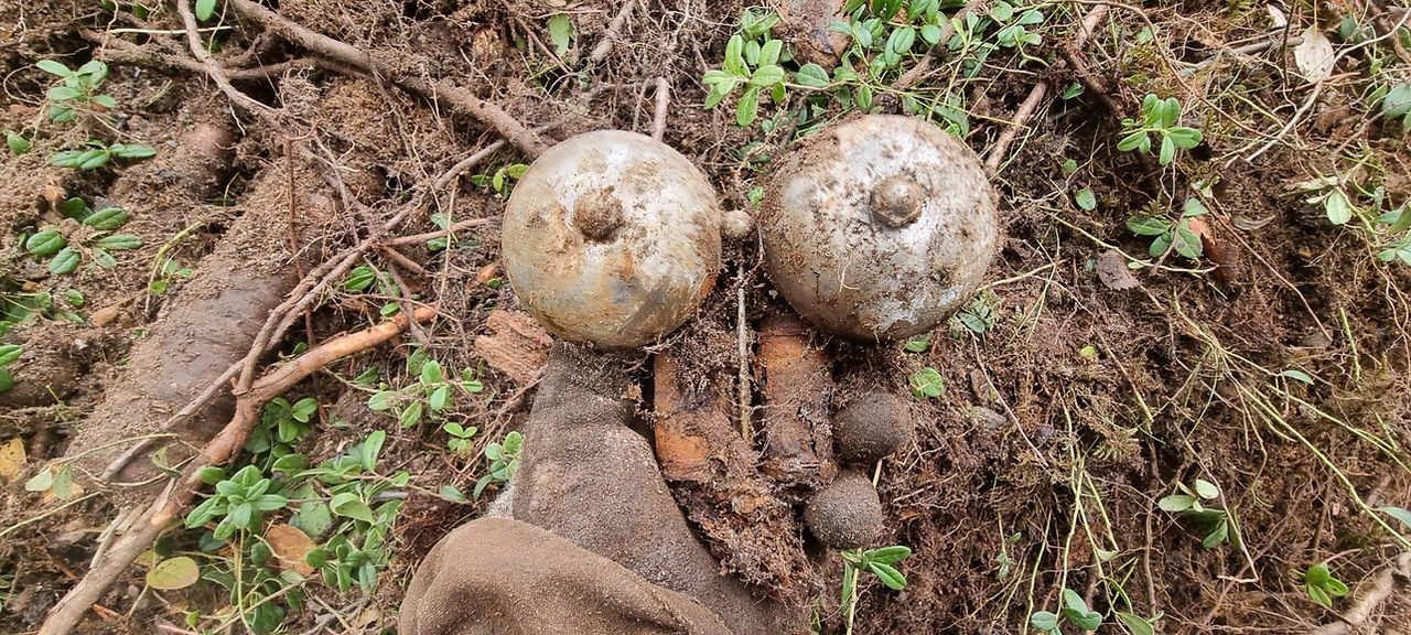 Bells from a field telephone