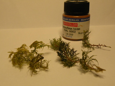 Moss from my local forest became pine branches.