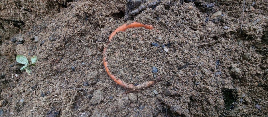 A Small Finnish Badge