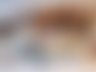 a mix of finds from a luftwaffe field hospital