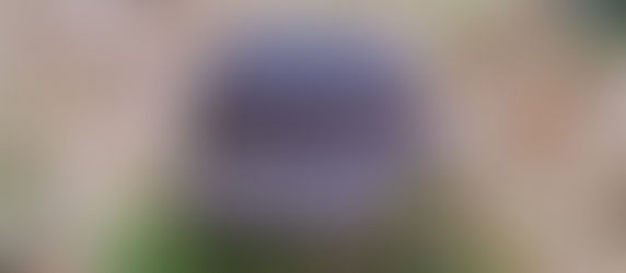 Three Helmets Thursday