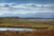 Wetland Creation