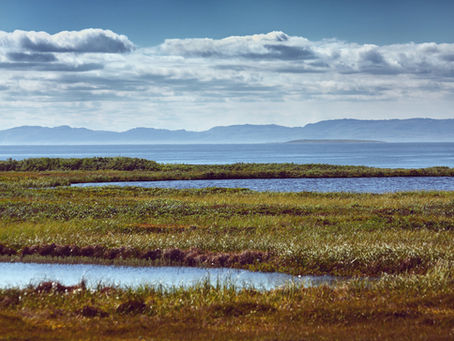 Towards a Universal Declaration of the Rights of Wetlands