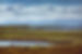 Wetland Creation