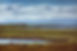 Wetland Creation