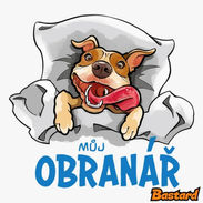 můj obranář