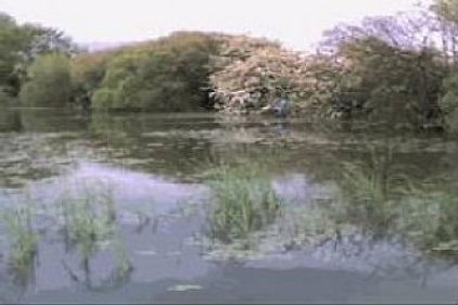 Brickyard Farm Lakes, Amotherby