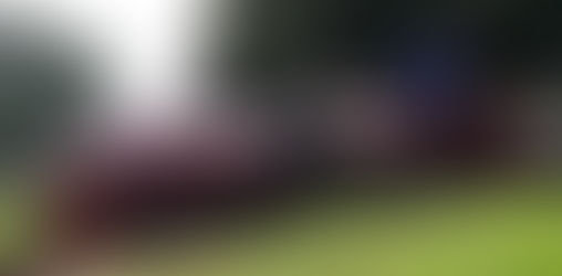 Mount Kilimanjaro at Rugby MES