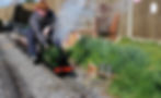 PNP garden track kits garden railway FC (21).jpg
