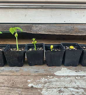 414F270F-9827-4845-AA27-0289EBD51841 2 (1).JPG