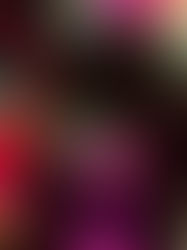 How to honor the holidays and 2021, while stepping into a new year.