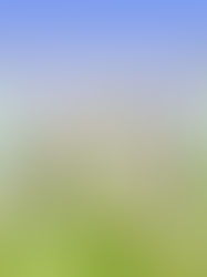 How to transform the critical dialogue in your head into an empowering one.