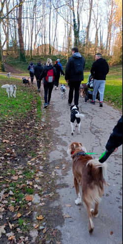 417765356_873363854585415_6777031836028514151_n