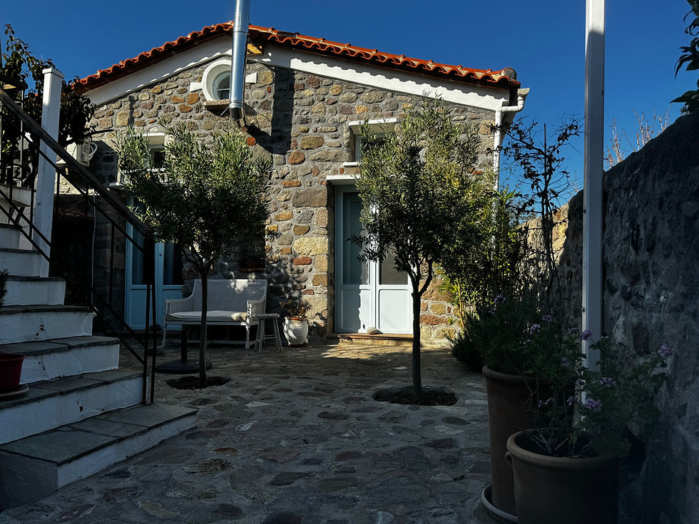 Eressos Lesvos. For sale, two beautiful houses in one yard