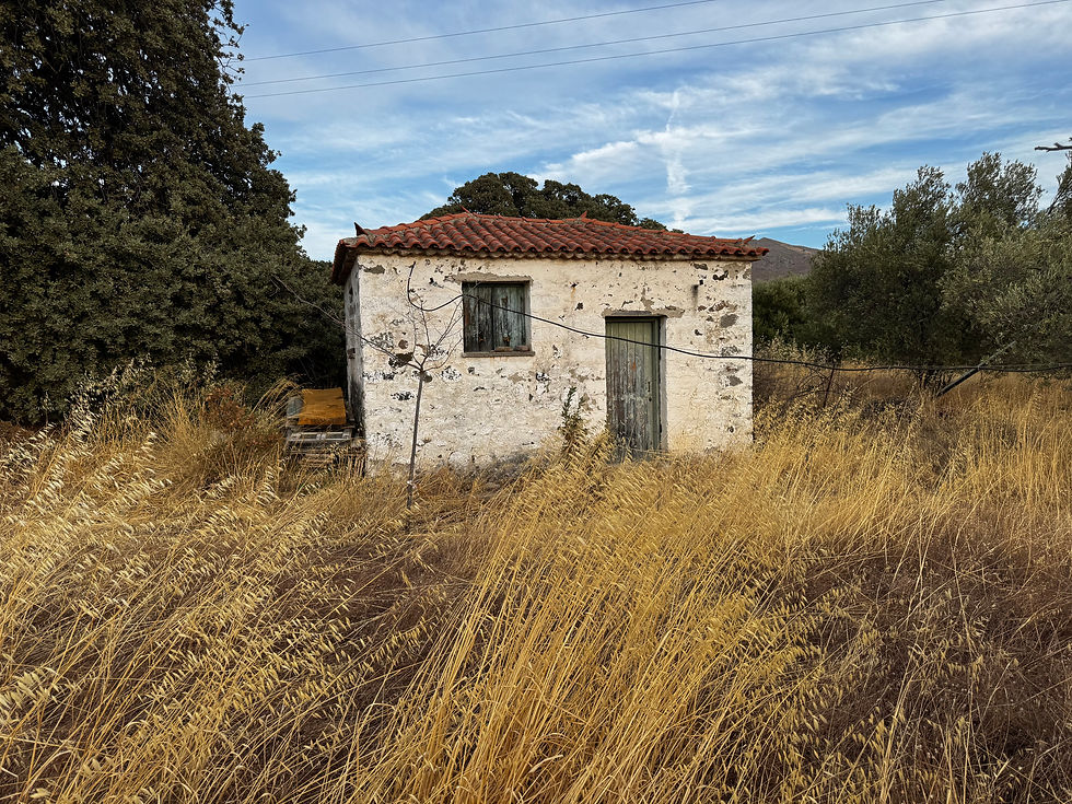 Eressos, Psinia. Small house for sale with a sea view.