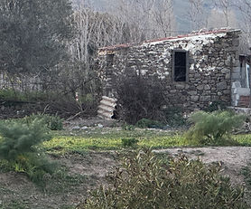 Kampos, Eressos. Farm for sale, with small house.
