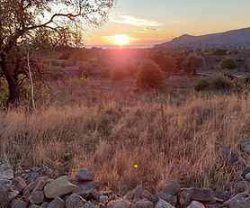 A plot of land for sale in the area of ​​Psinia Eresou with an unlimited sea view!!