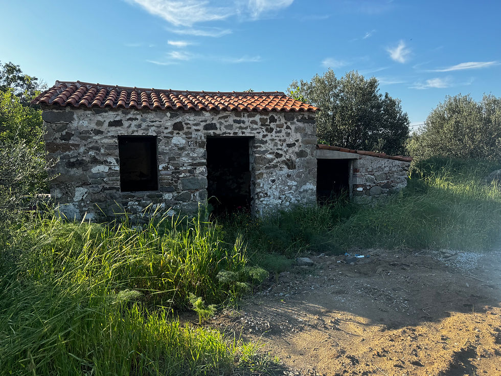 Psinia Eressos. Small house for sale in a property with olive trees.