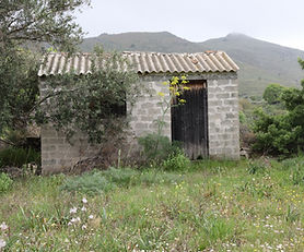 Farm with olive trees and a house, for sale in Psinia Eresou