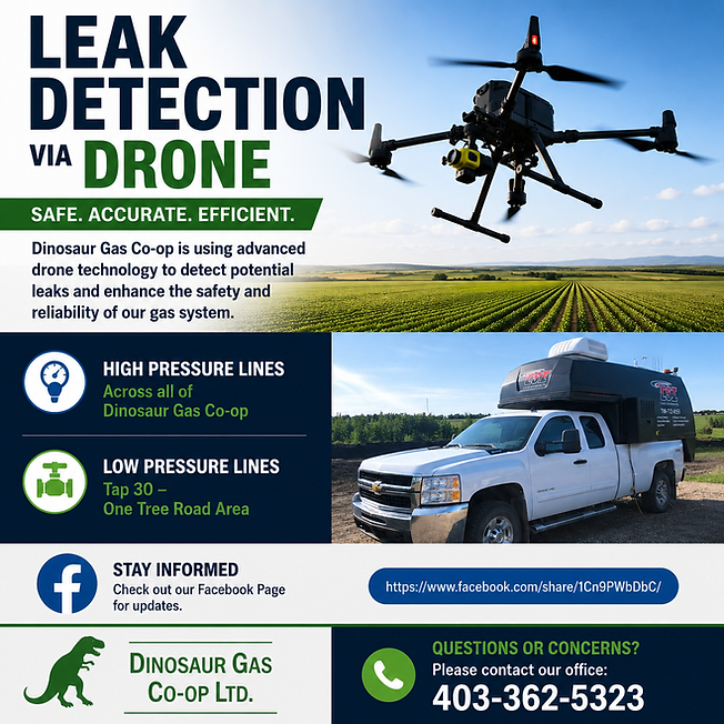 Leak Detection Add 2026.png