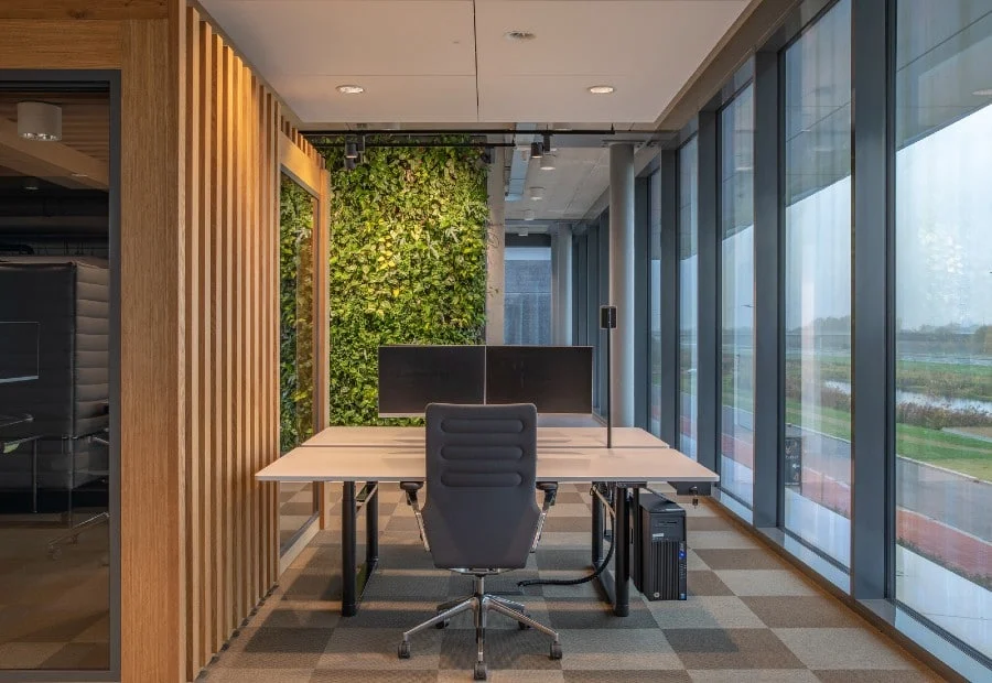 Biophilic Design for Office Interior