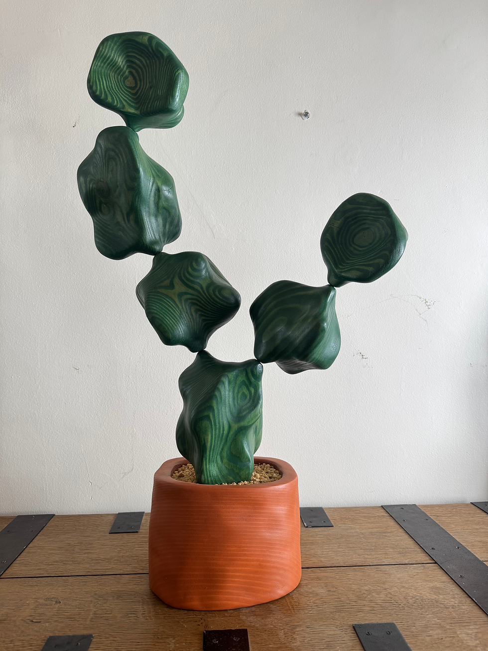 Thumbnail: Engelmann Prickly Pear 