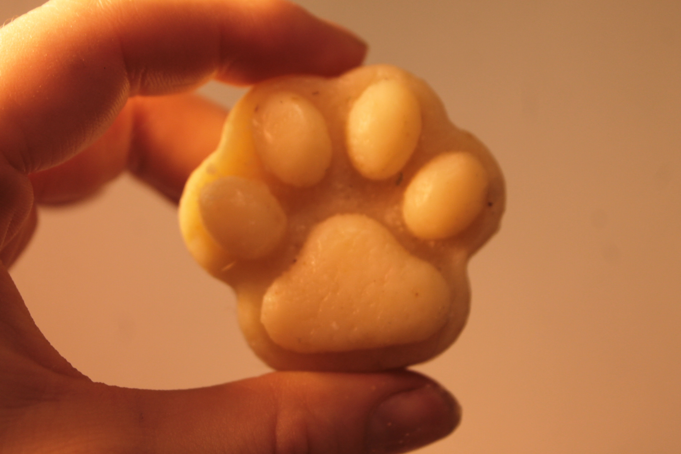 Paws the Pests Soap