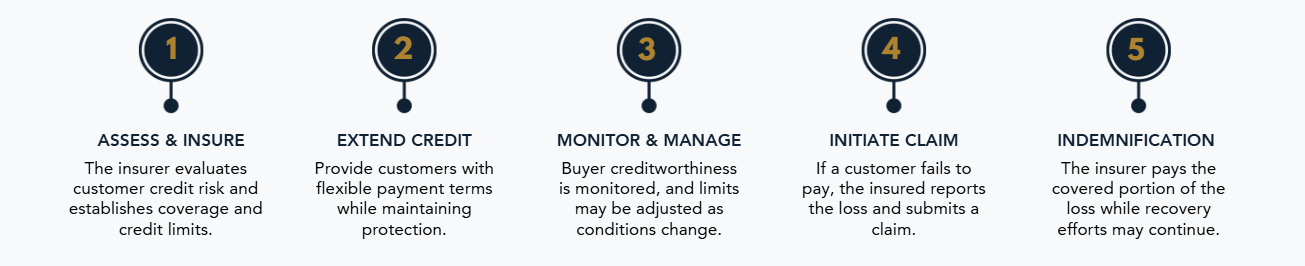 HOW TRADE CREDIT INSURANCE WORKS