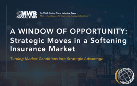 A Window of Opportunity thumbnail