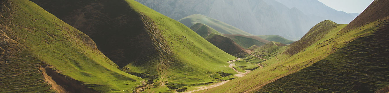 mitul-gajera-R8Qs3QRuKoM-unsplash.jpg