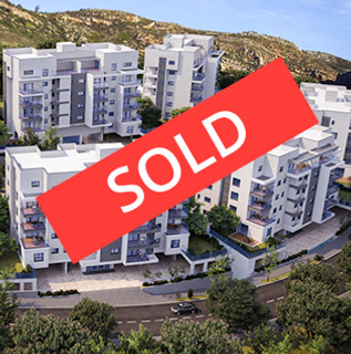 NP-TZFAT-01_SOLD.jpg