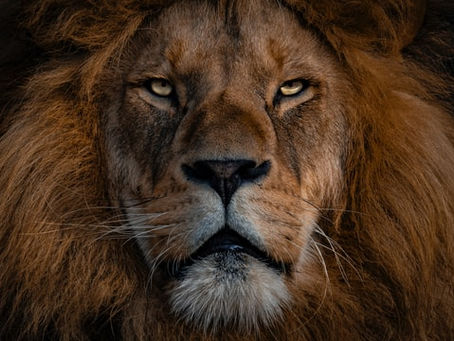 Christ the King, “Jesus Makes All the Difference in the World!”