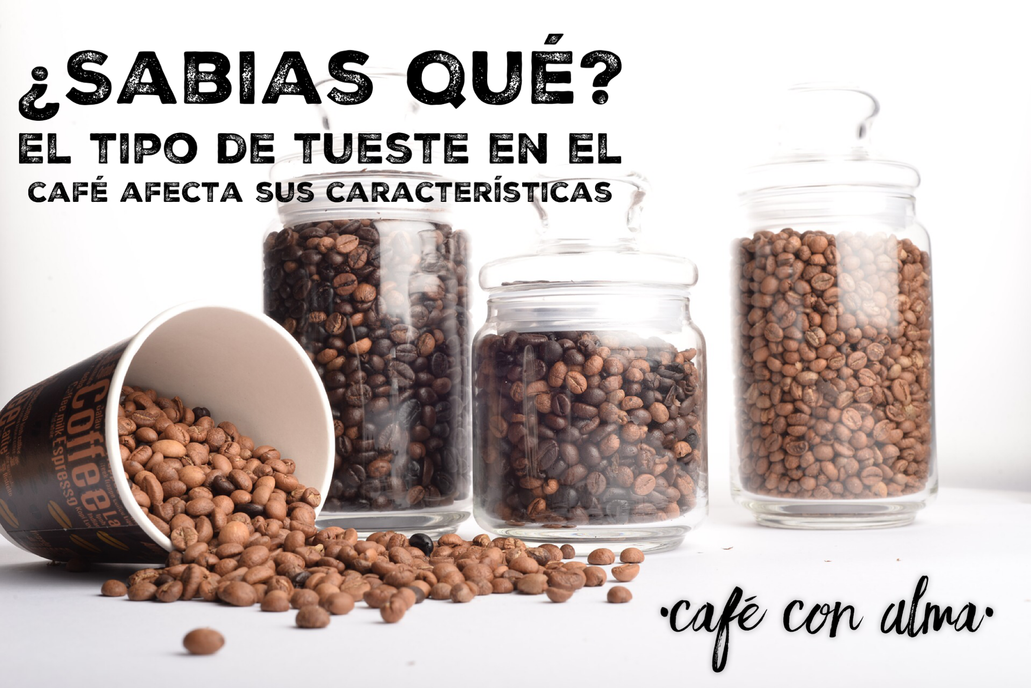 tipos de tueste de cafe